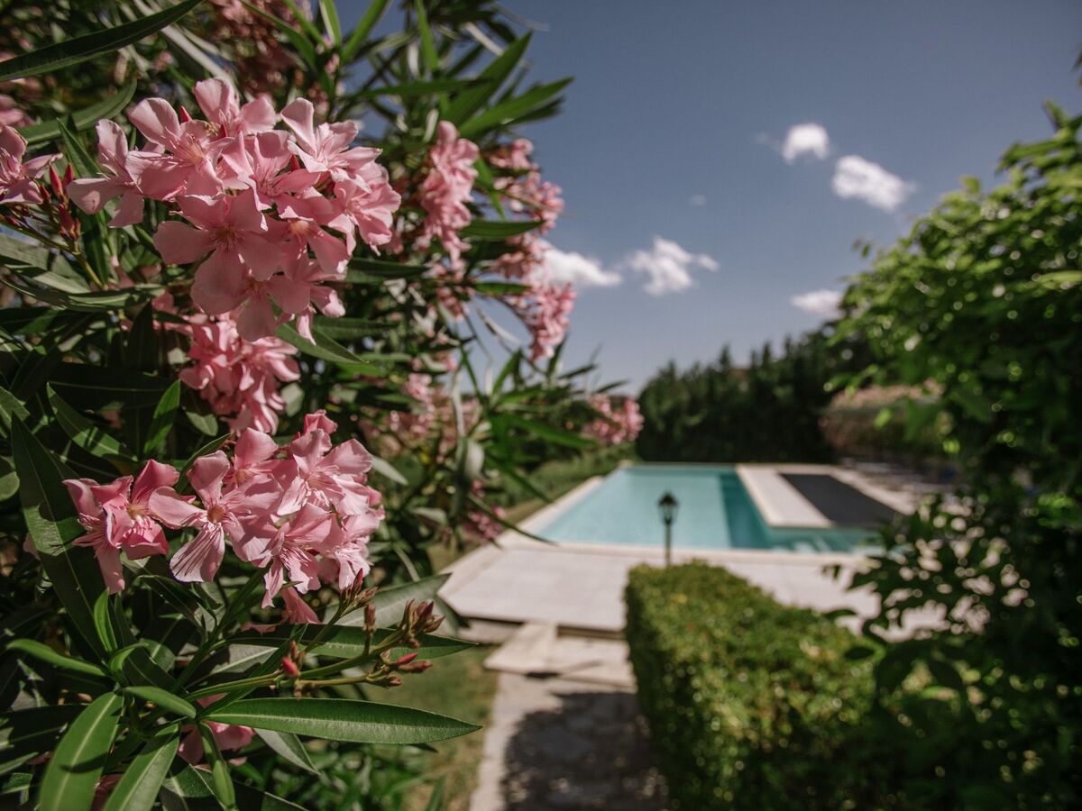 Appartement avec piscine commune à Isola d'Asti - Photo 14
