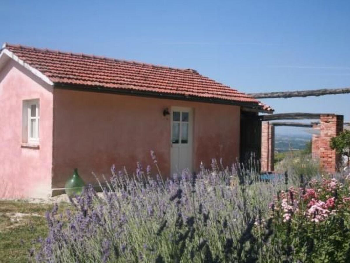 Le Galline, ancienne bergerie reconvertie à Bastia Mondovì - Photo 2