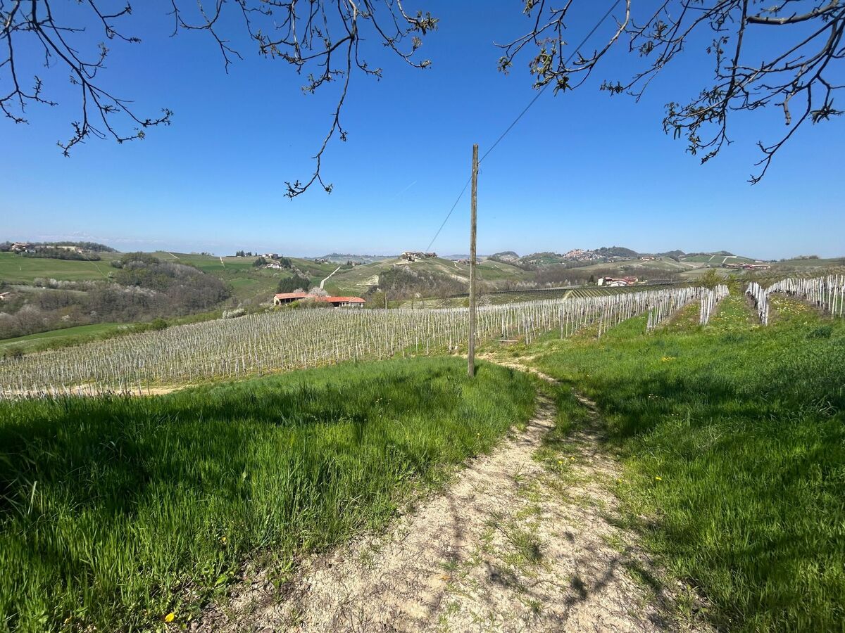 Casa il Cuore delle Langhe, appartement à Dogliani - Photo 13