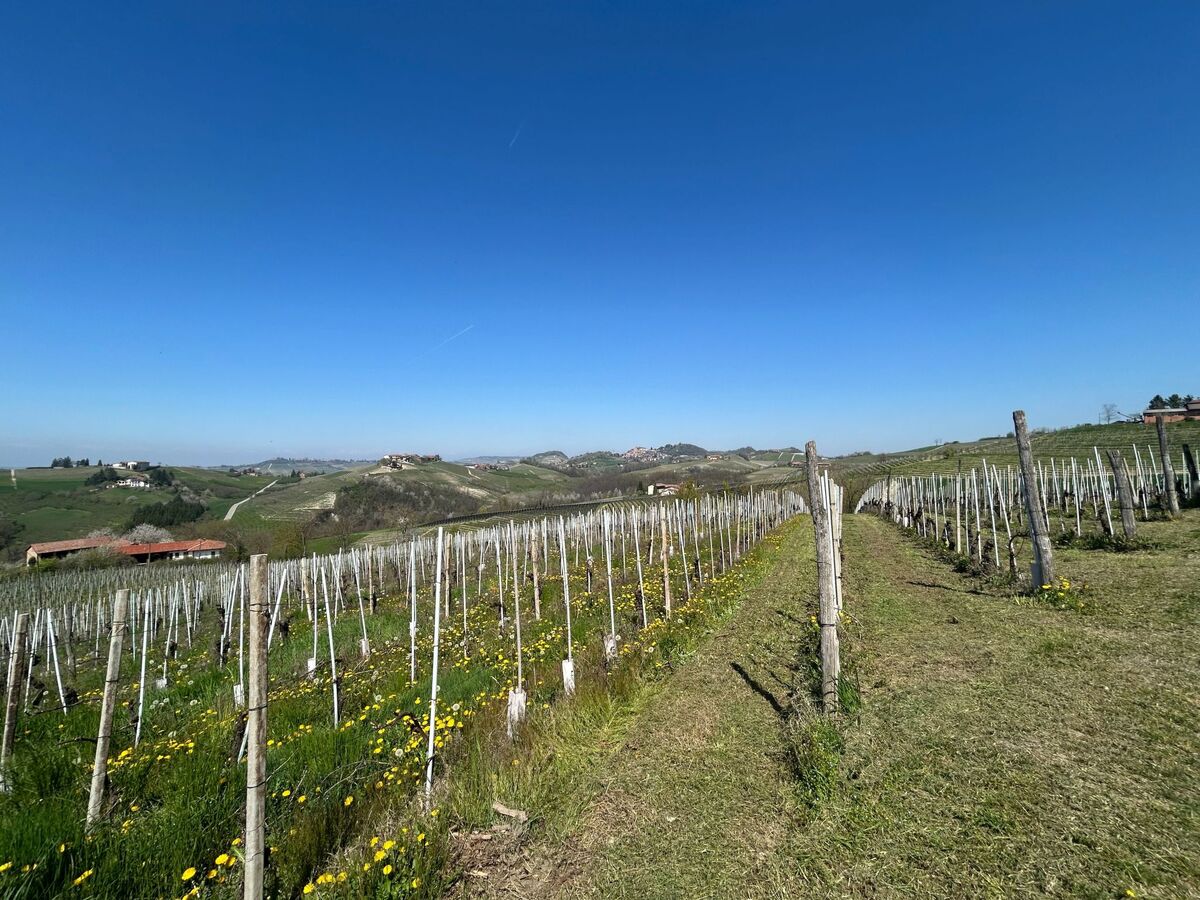 Casa il Cuore delle Langhe, appartement à Dogliani - Photo 14