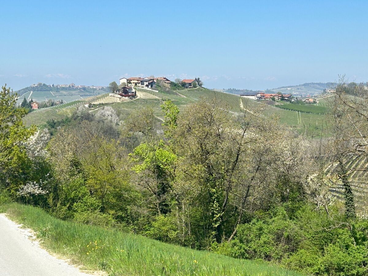 Casa il Cuore delle Langhe, appartement à Dogliani - Photo 16