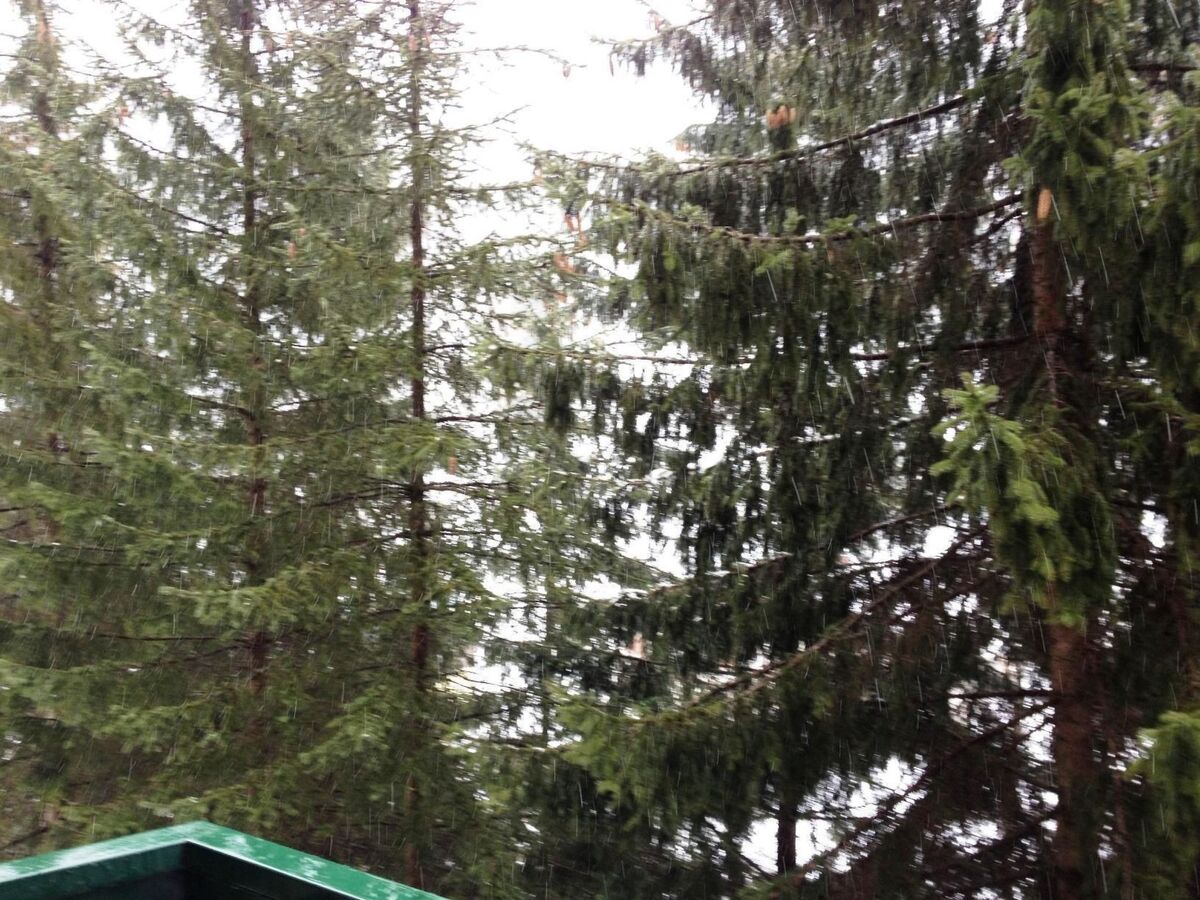 Studio 60 m² pour 4 à Limone Piemonte, à 1 km des pistes - Photo 15