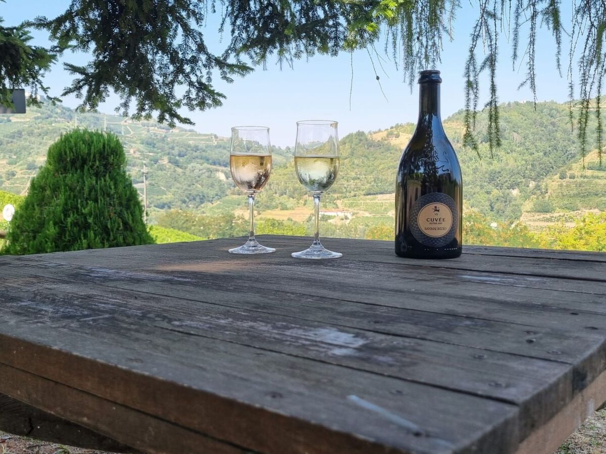 Appartement Ca ed Giuanoto avec terrasse, Santo Stefano Belbo - Photo 12