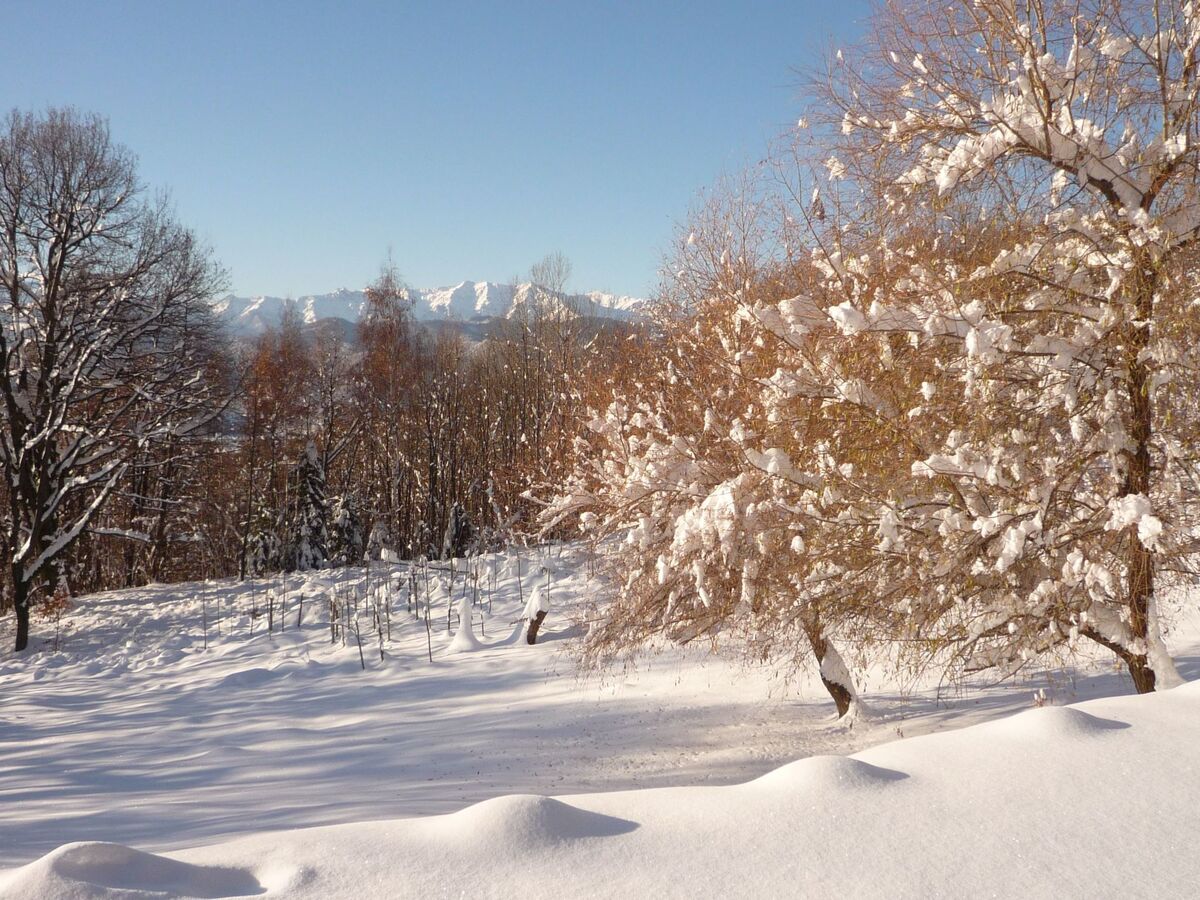Casa Bella Vista – Appartement 45m² vue sur les Alpes - Photo 24