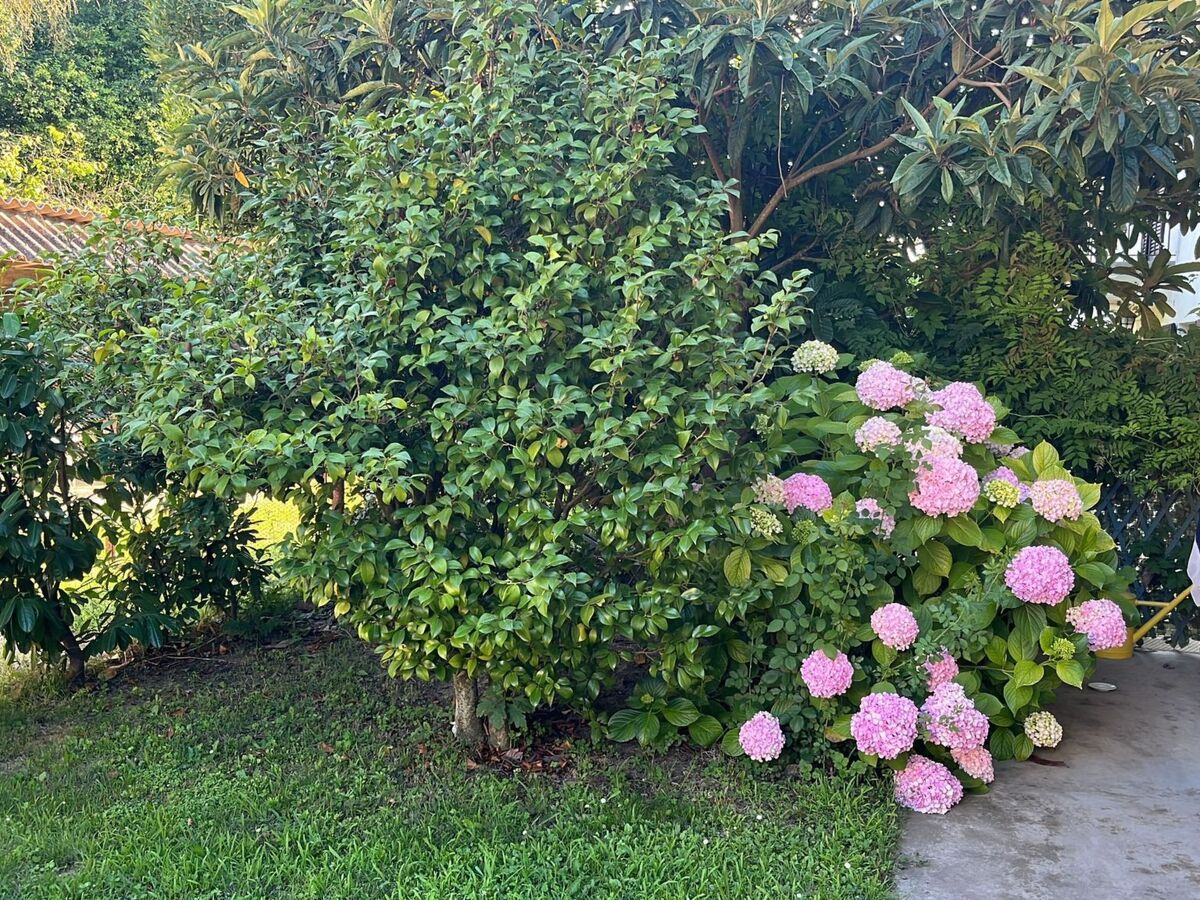 Orchidea Room à Castellero, appartement avec piscine - Photo 26