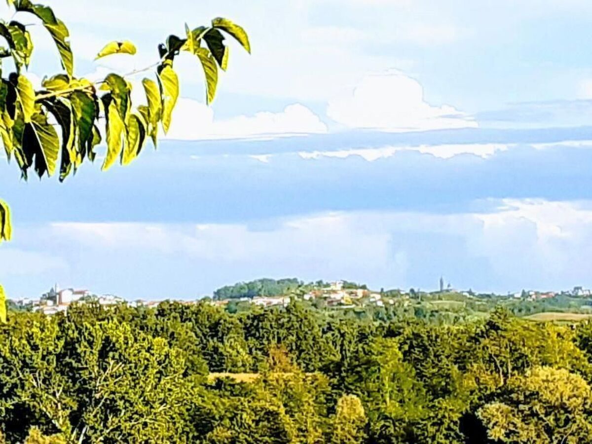 Villa Piemonte – Maison 8 chambres à Tigliole - Photo 46