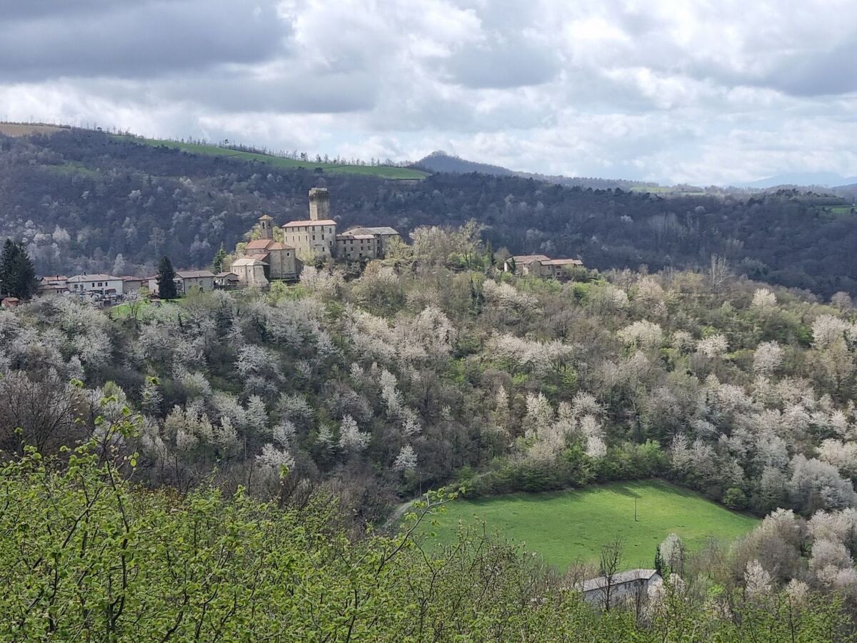 Cascina Bricco - Appartement 4 pers. Langhe Piémont - Photo 67