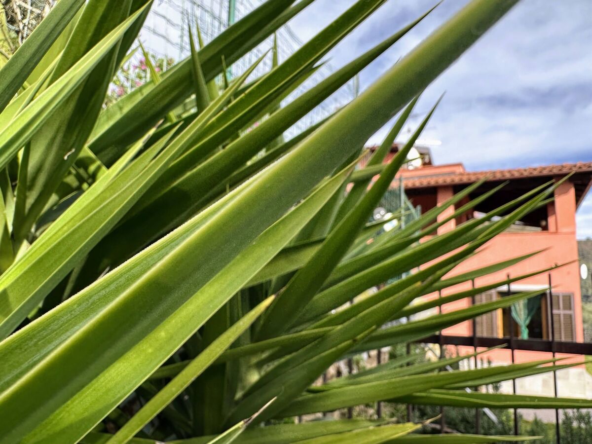 Haus Perlei – maison avec piscine privée à Montegrazie - Photo 11