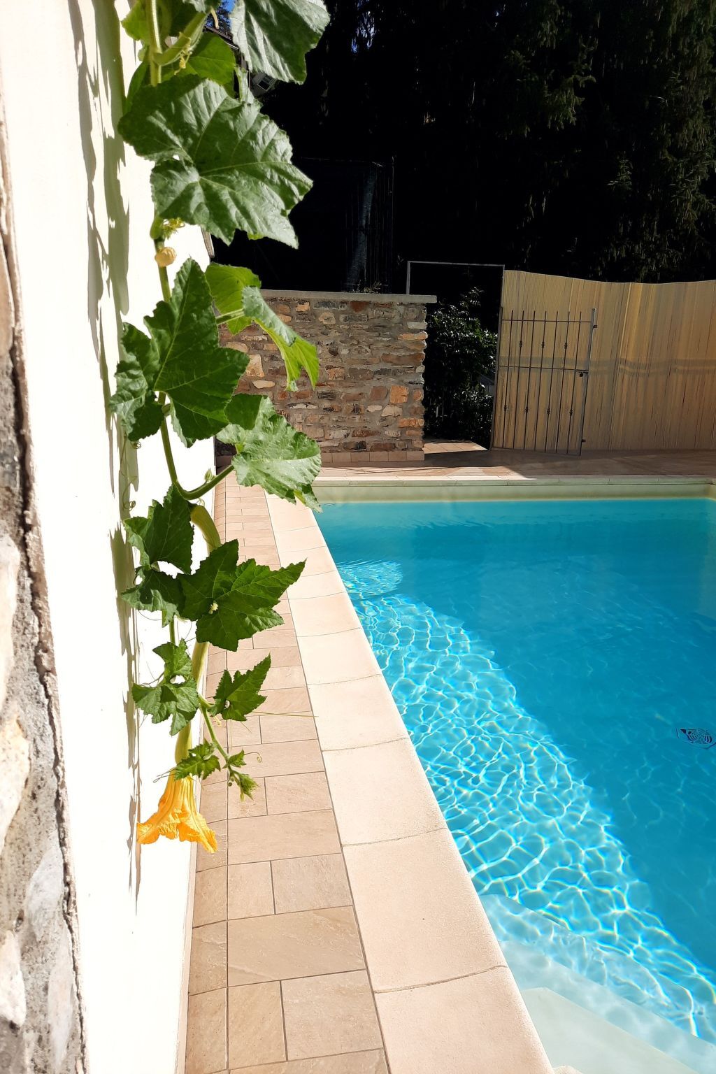 Villa indépendante Borgomaro, piscine privée, parking - Photo 26