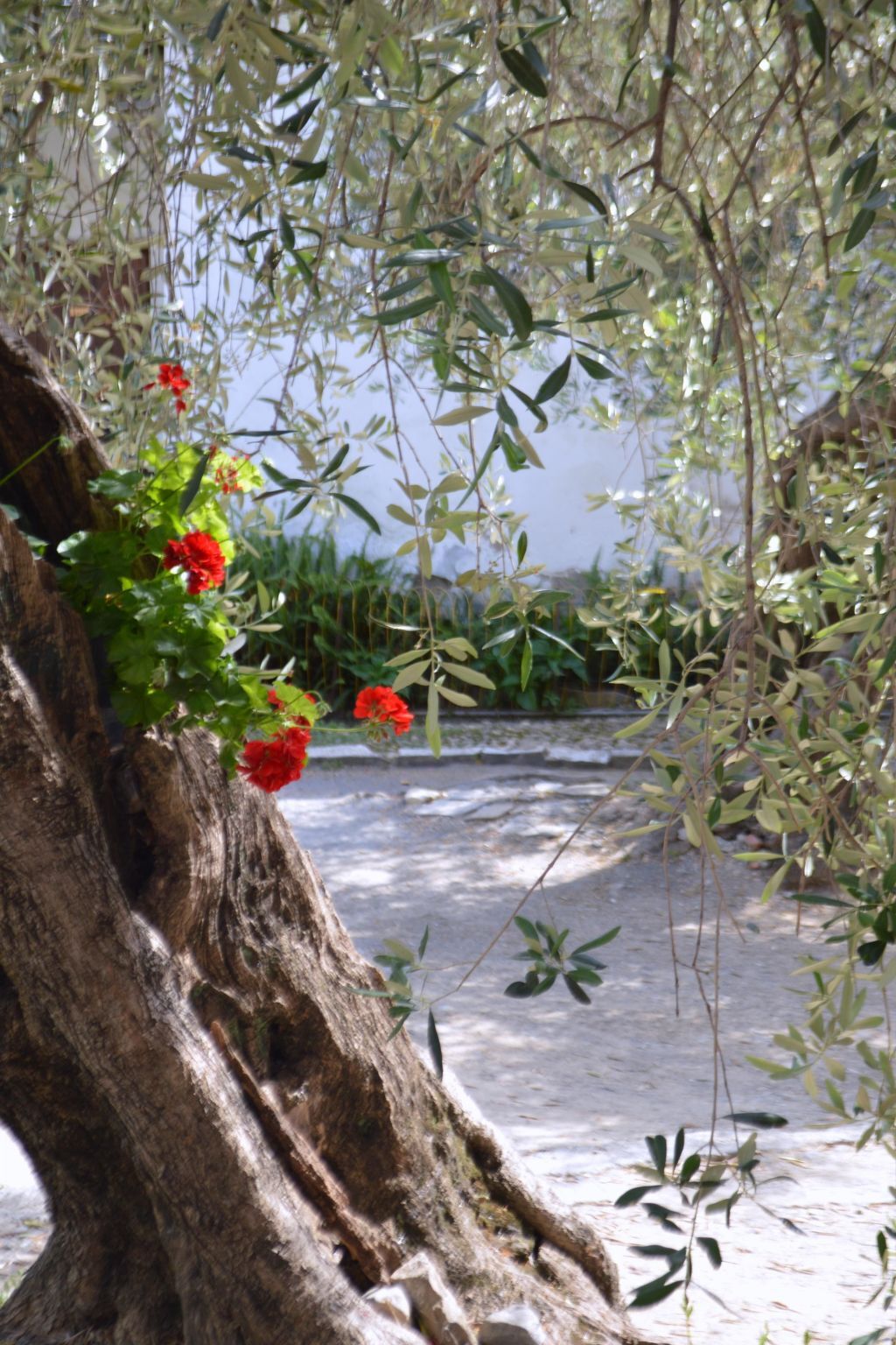 Appartement Diano San Pietro, plein nature avec jardin - Photo 21