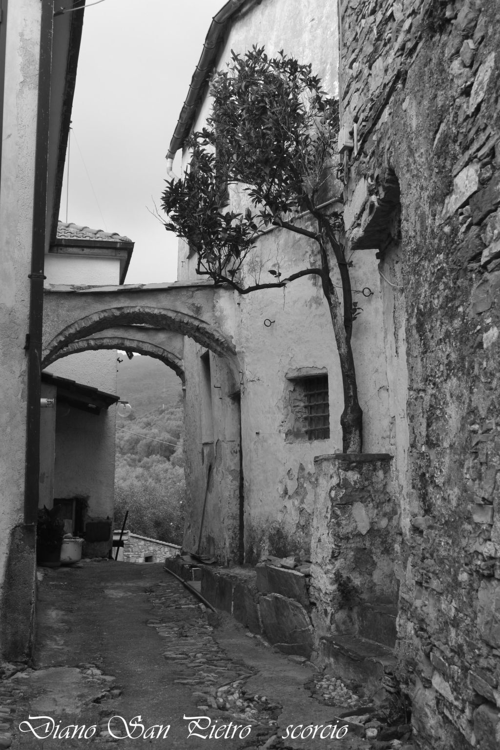 Appartement Diano San Pietro, plein nature avec jardin - Photo 25