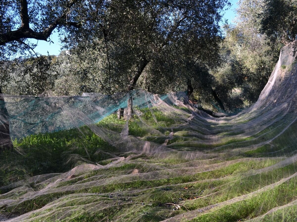 Appartement Diano San Pietro, plein nature avec jardin - Photo 32