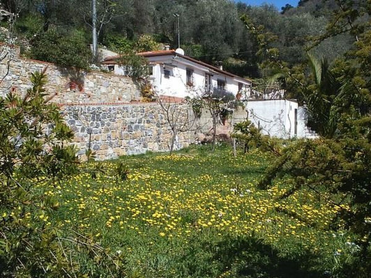 Casa Uliveto, maison dans une oliveraie en Ligurie - Photo 1