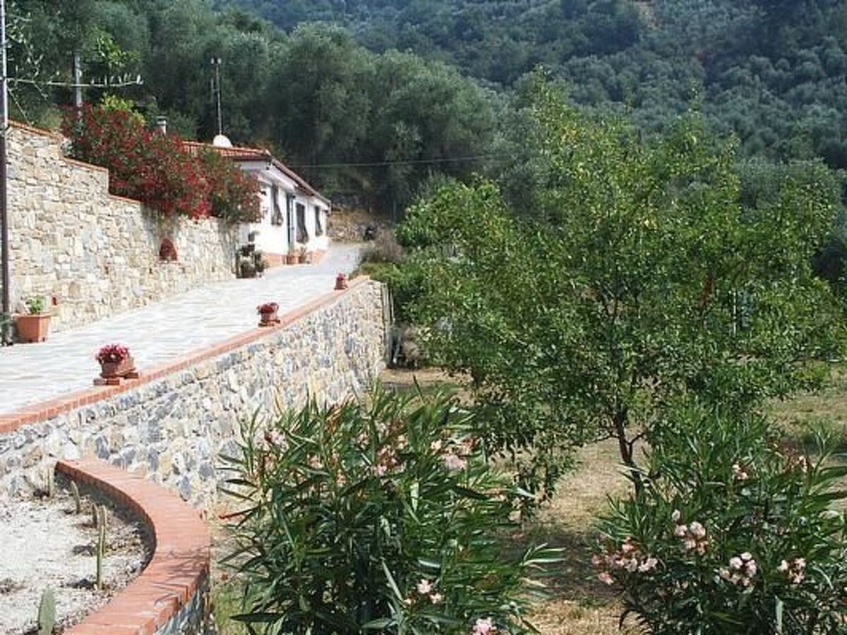 Casa Uliveto, maison dans une oliveraie en Ligurie - Photo 3