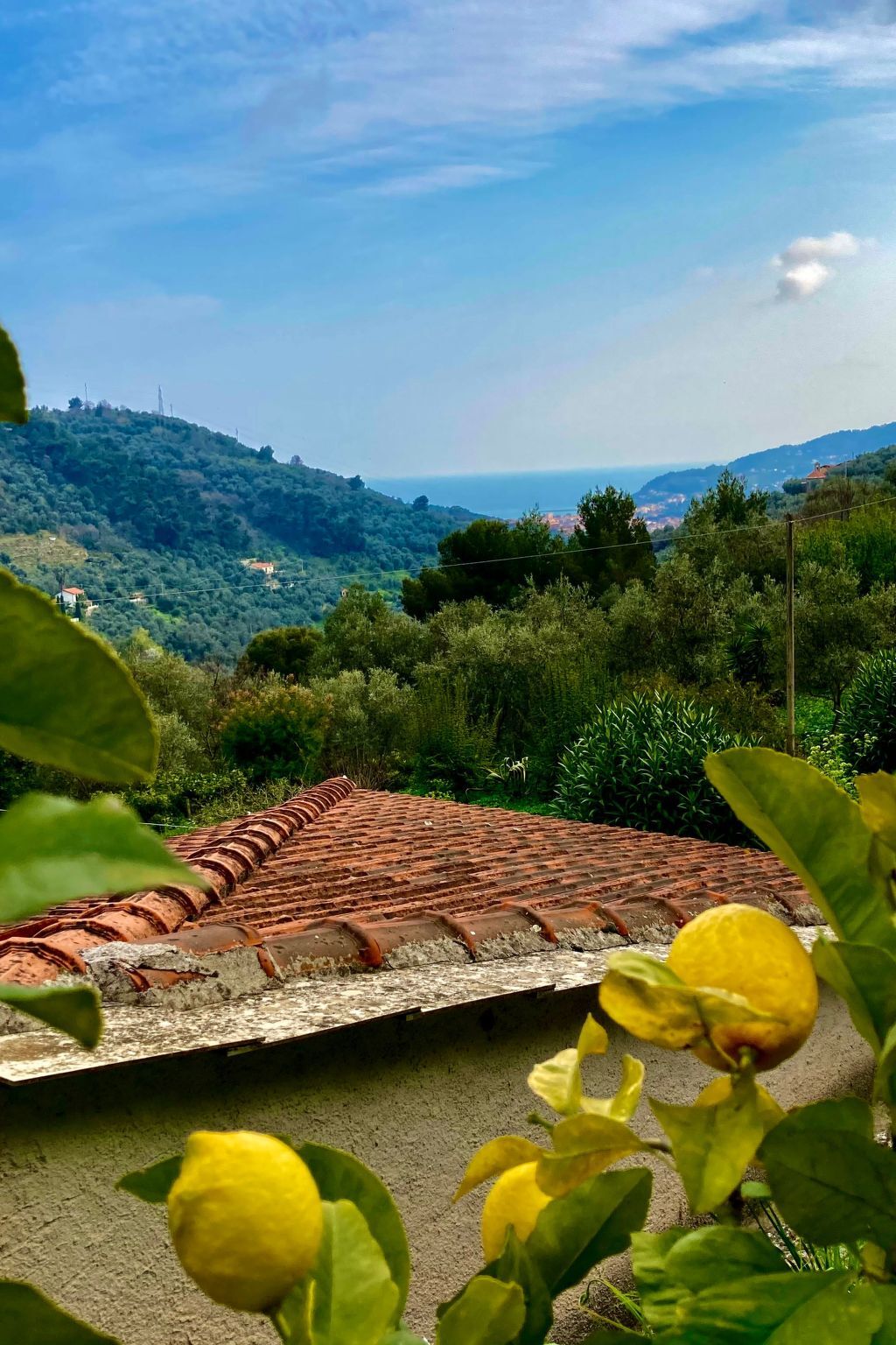 Casa Uliveto, maison dans une oliveraie en Ligurie - Photo 21