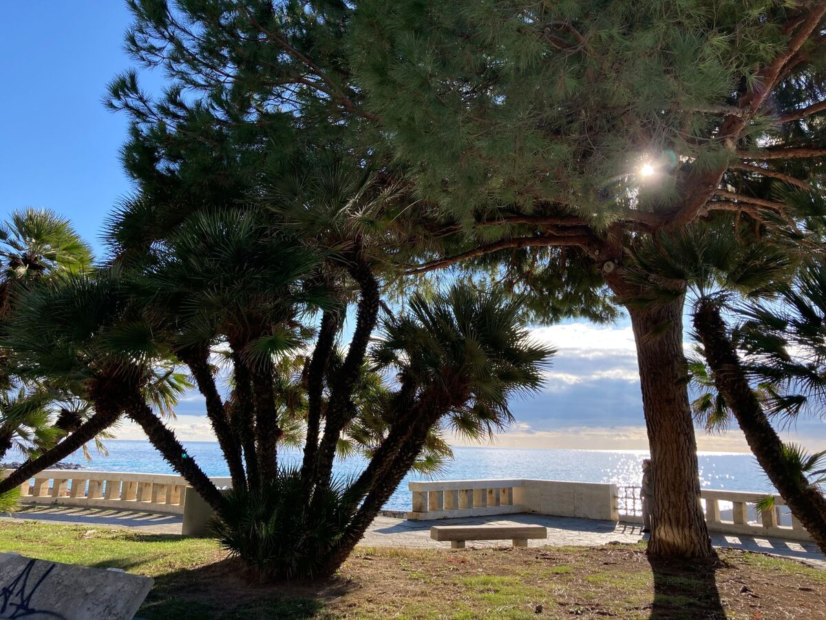 Casa Uliveto, maison dans une oliveraie en Ligurie - Photo 29