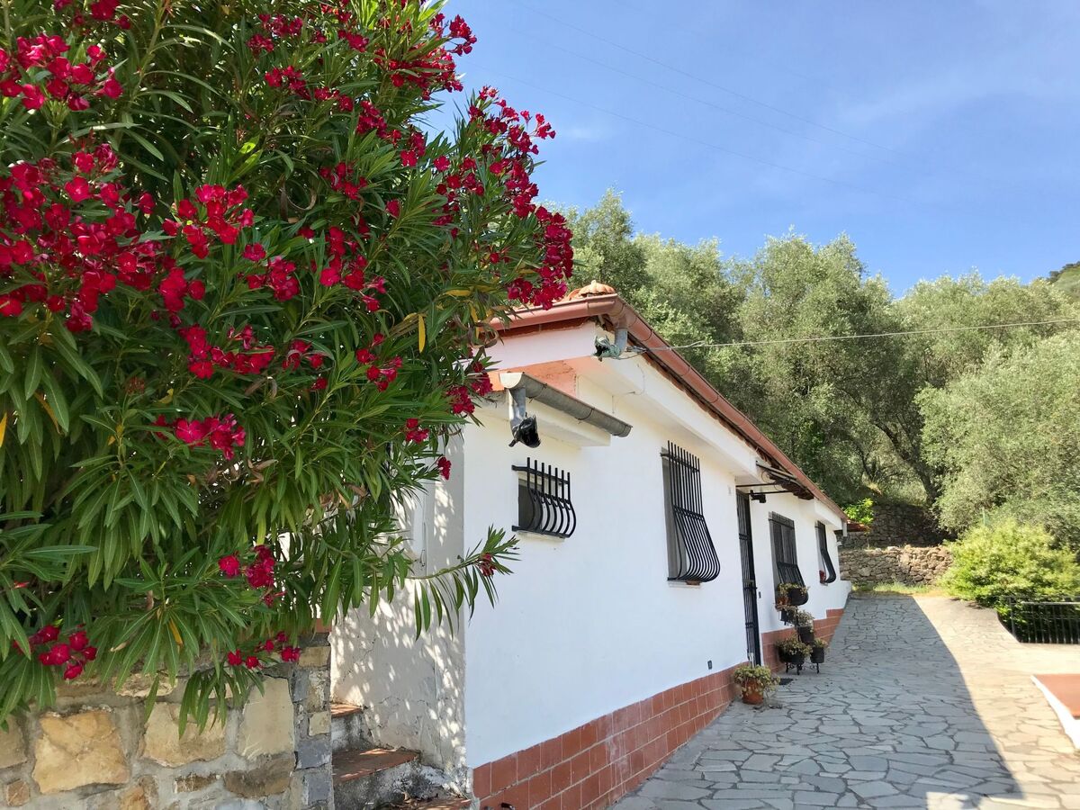 Casa Uliveto, maison dans une oliveraie en Ligurie - Photo 40