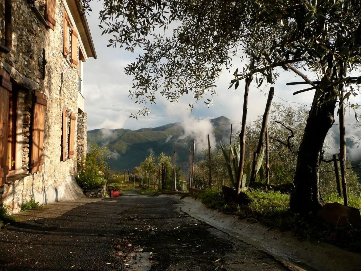 Casa Sissi, maison en pierre entre oliviers - Photo 5