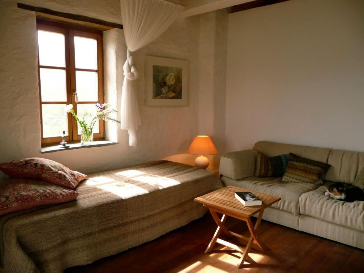 Casa Sissi, maison en pierre entre oliviers - Photo 12