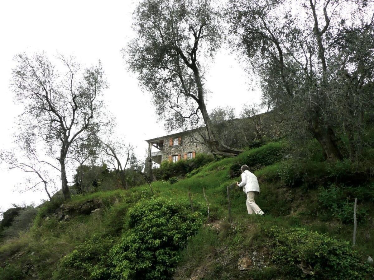 Casa Sissi, maison en pierre entre oliviers - Photo 13