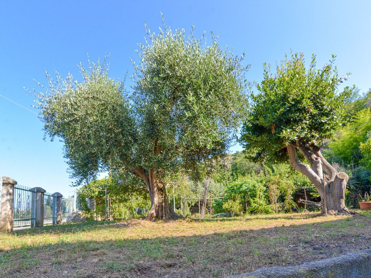 Villa Angela 1 - Appartement 2 pers. à Toirano - Photo 18