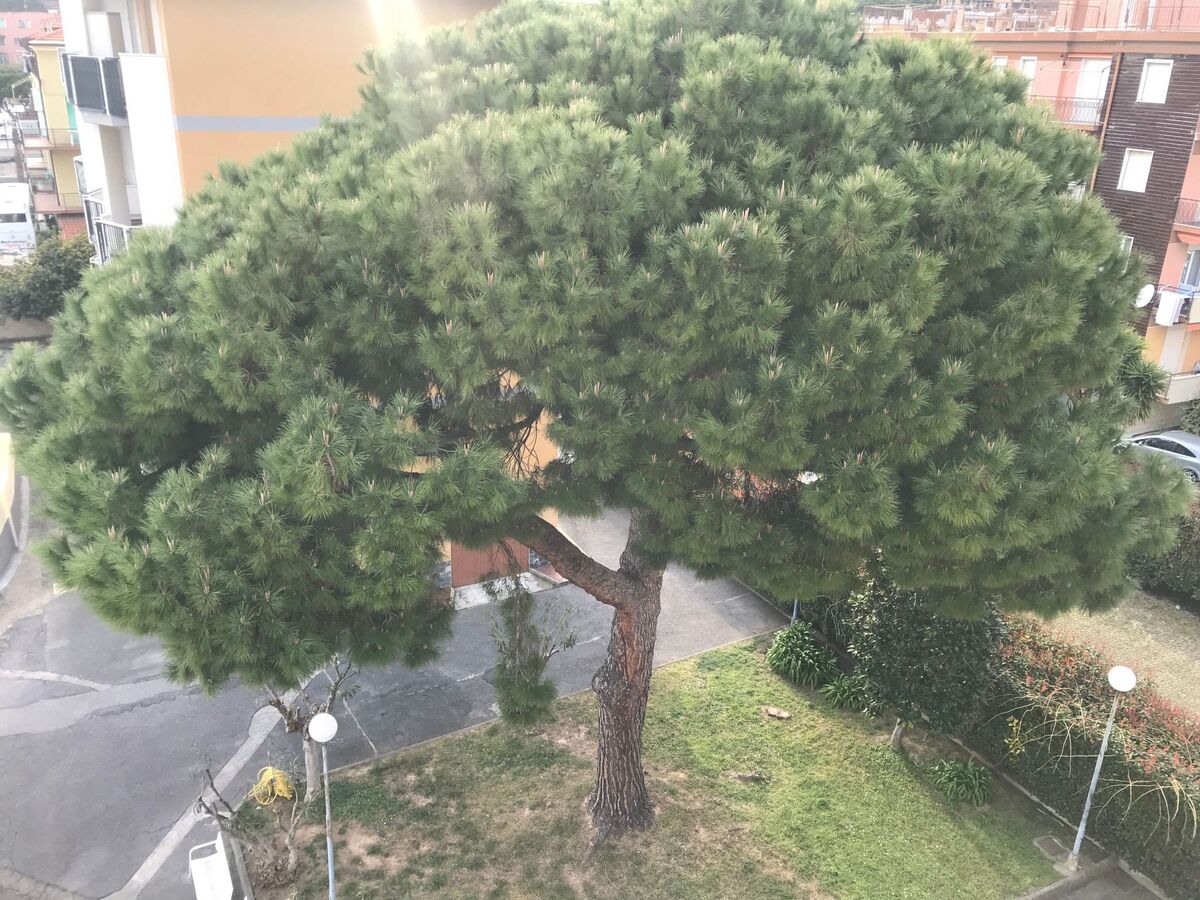 Appartement Bianco avec balcony à Pietra Ligure - Photo 14
