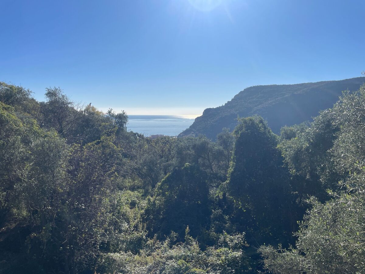 Casa Ninetta, studio avec jardin à Finale Ligure - Photo 7
