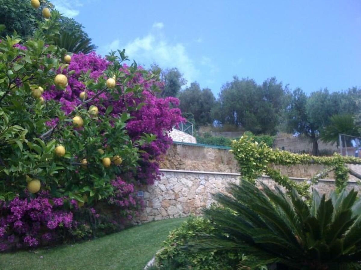 Appartement avec terrasse et piscine à Finale Ligure - Photo 10