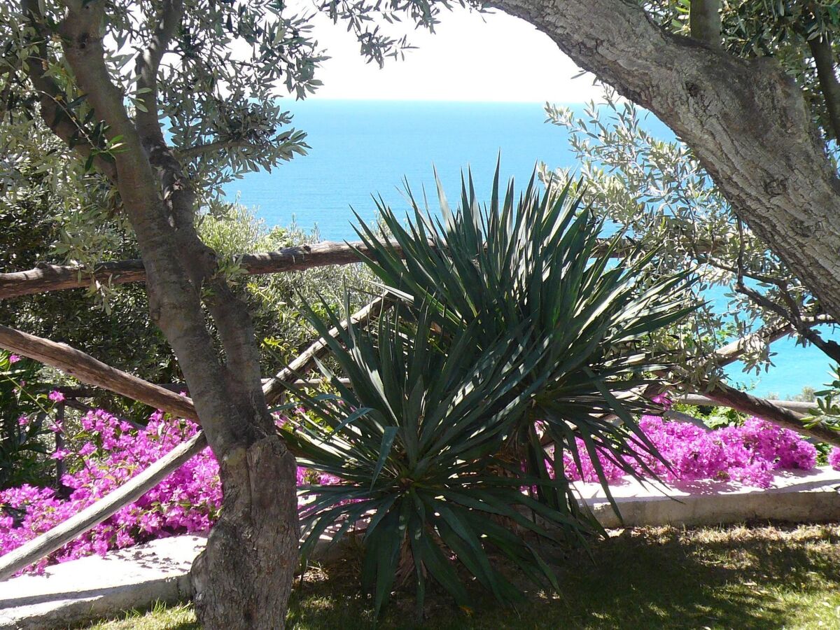 Appartement 1 chambre avec terrasse à Finale Ligure - Photo 34