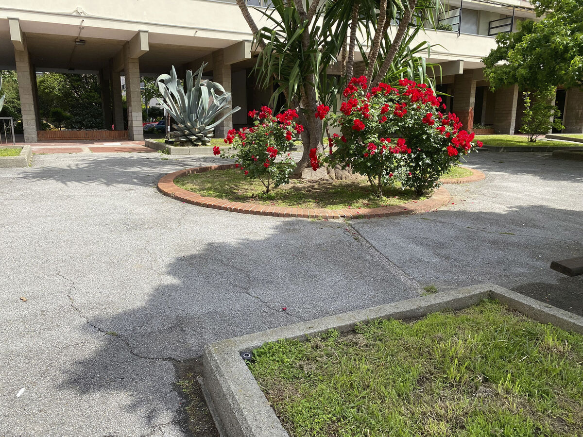 Appartement 110 m de la mer, chien bienvenu - Photo 23