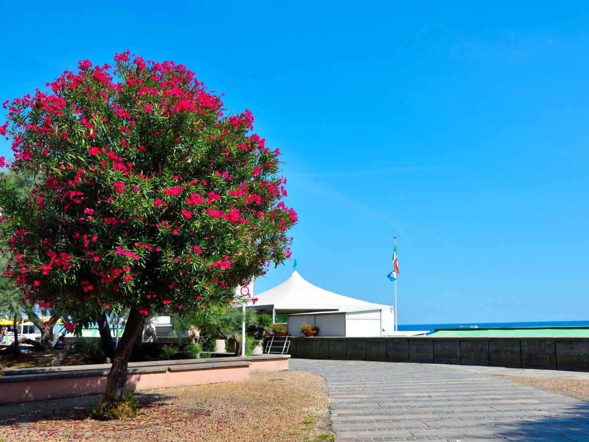 Appartement La Bella Vita Marina Beach, Albisola - Photo 22