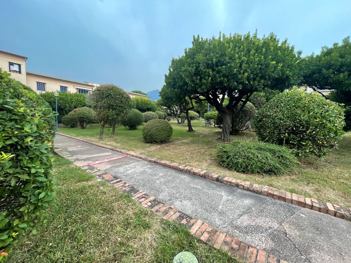 Quadrifoglio, appartement 4 pers. en pinède à 600 m de la plage - Photo 27