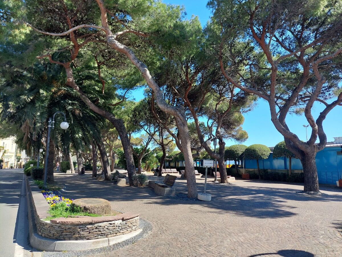 Quadrifoglio, appartement 4 pers. en pinède à 600 m de la plage - Photo 30