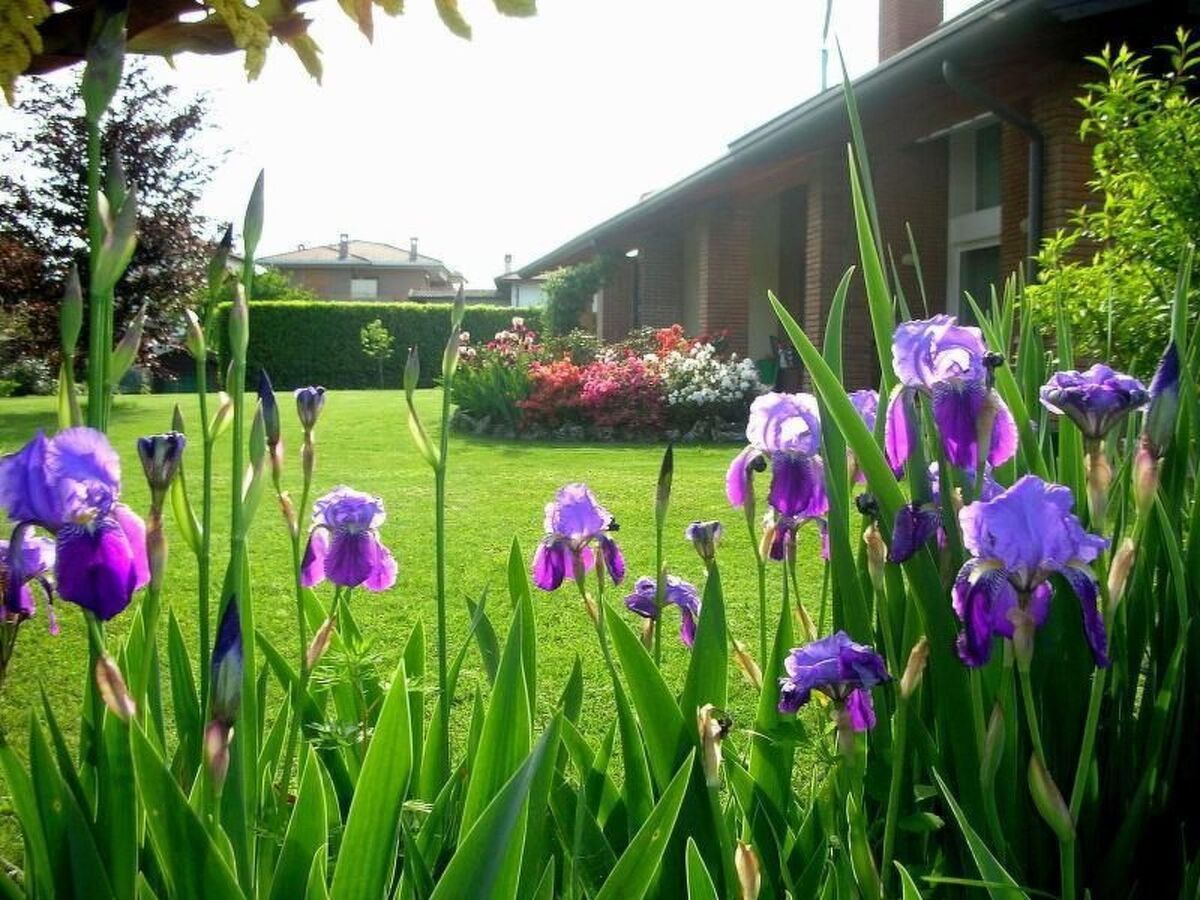 Appartement 56 m² jardin privé près du Lago Maggiore - Photo 14