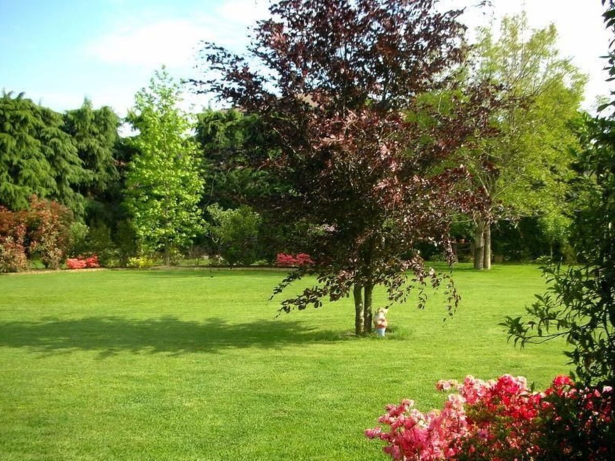 Appartement 56 m² jardin privé près du Lago Maggiore - Photo 15