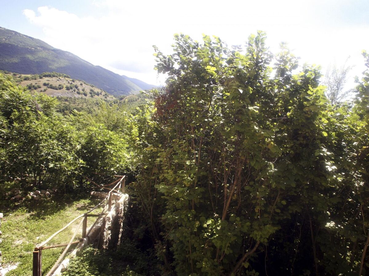 Appartement I Cardi avec parking privé à Pescorocchiano - Photo 16