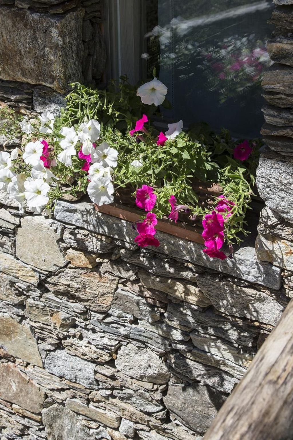 Lampone, appartement 5 pers. avec terrasse et jardin privé - Photo 6