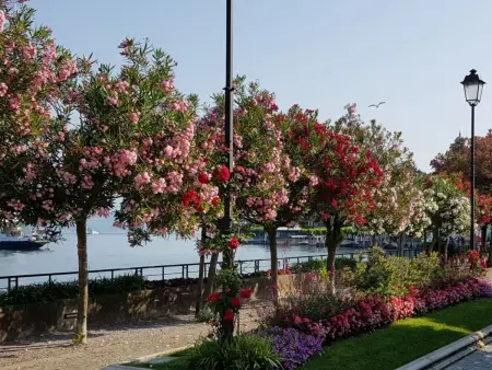 CasaKatty : appartement 2 pièces avec balcons et vue lac : photo 29