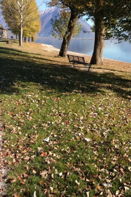Appartement vue lac à Domaso, piscine & jardin : photo 23