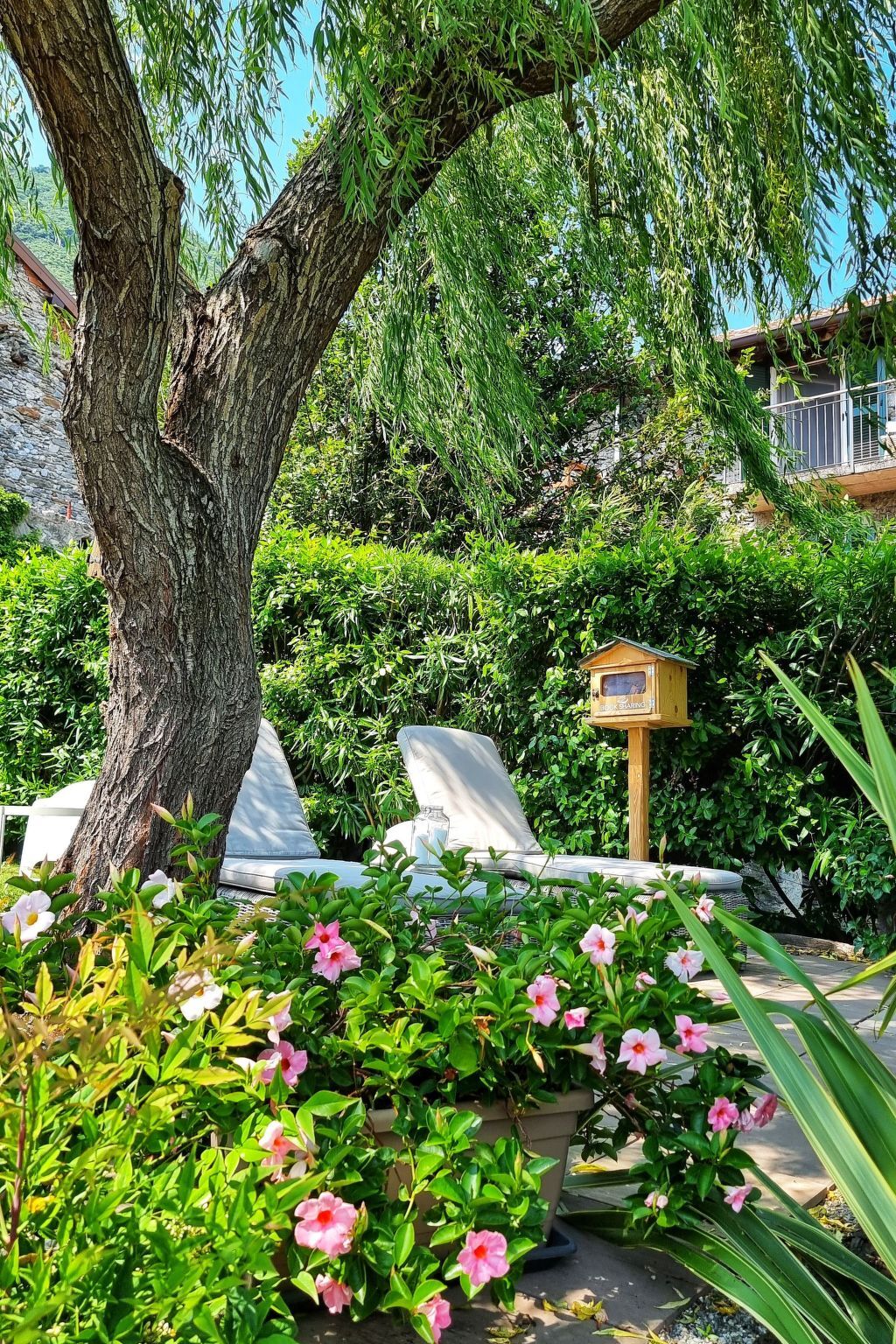 Orchidea, Appartement 5 pers. à Vercana près du lac Côme - Photo 27