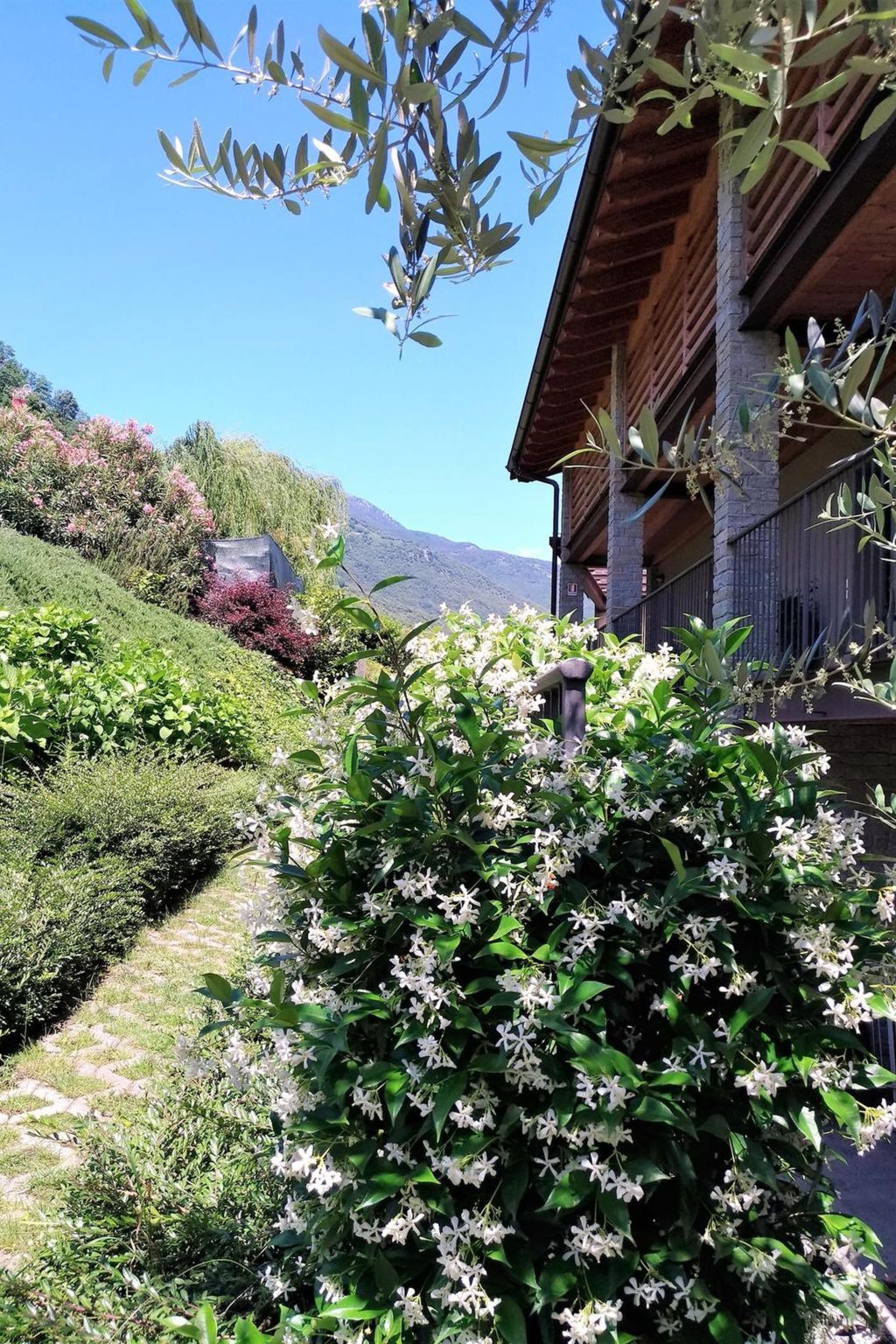Orchidea, Appartement 5 pers. à Vercana près du lac Côme - Photo 31
