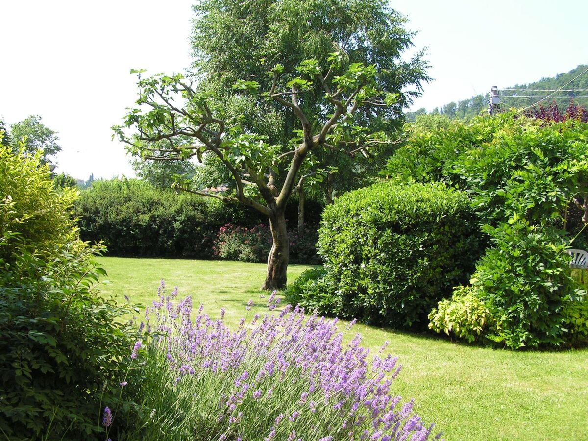 La Mimosa – Appartement Franciacorta face au lac d'Iseo - Photo 18