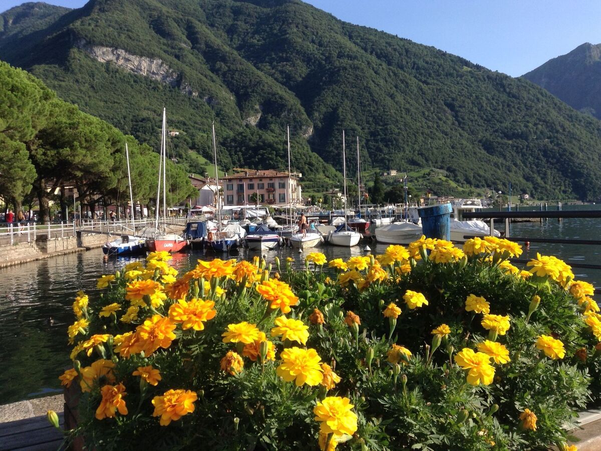 La Mimosa – Appartement Franciacorta face au lac d'Iseo - Photo 20