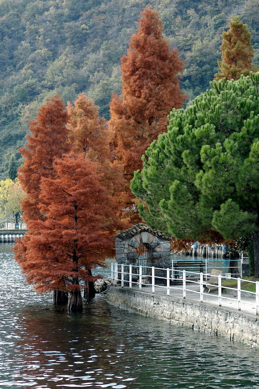 Studio médiéval à Fonteno, jardin partagé et lac à 1,5 km - Photo 34