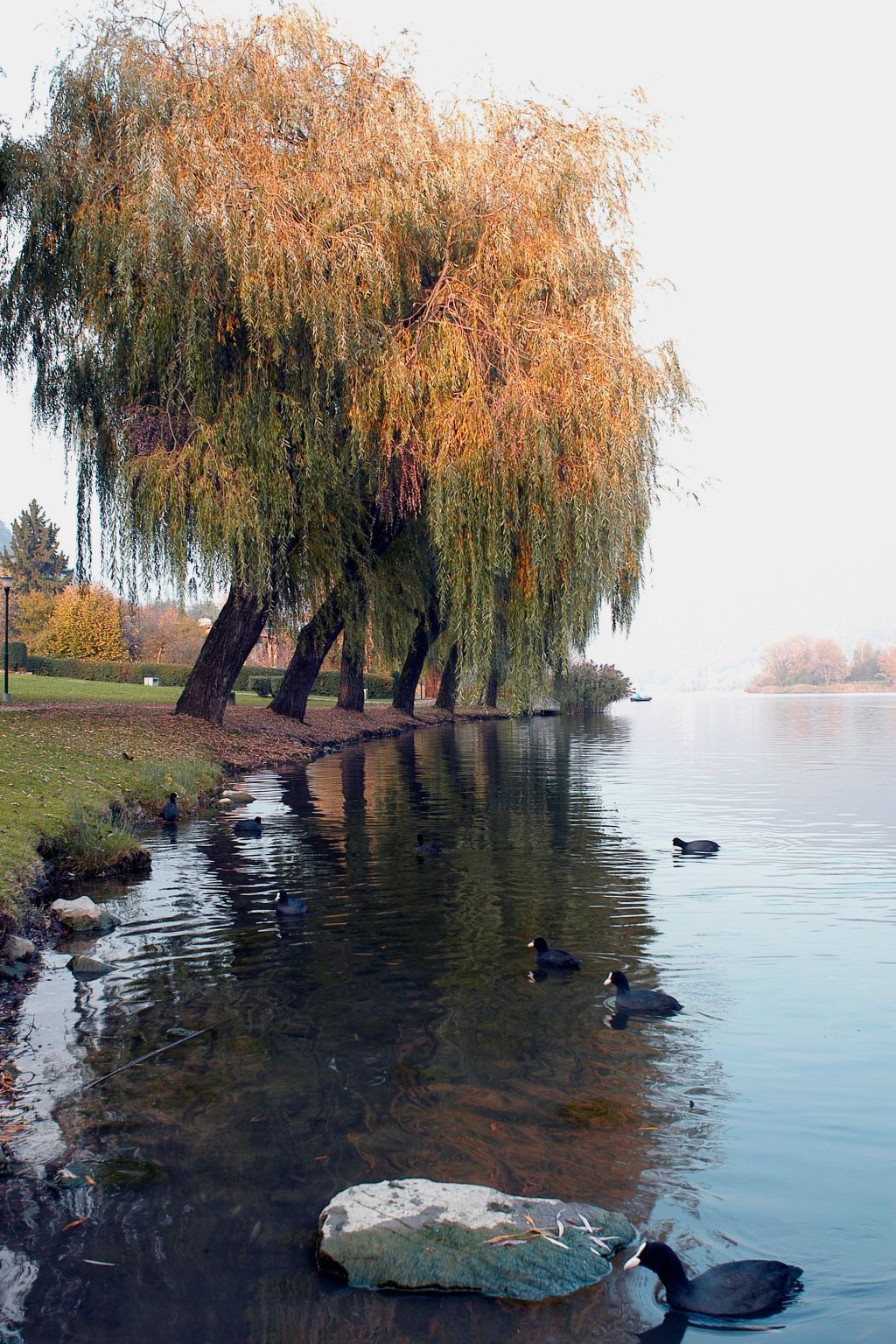 Studio médiéval à Fonteno, jardin partagé et lac à 1,5 km - Photo 35