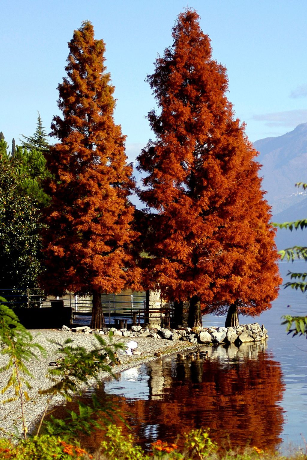 Studio médiéval à Fonteno, jardin partagé et lac à 1,5 km - Photo 36