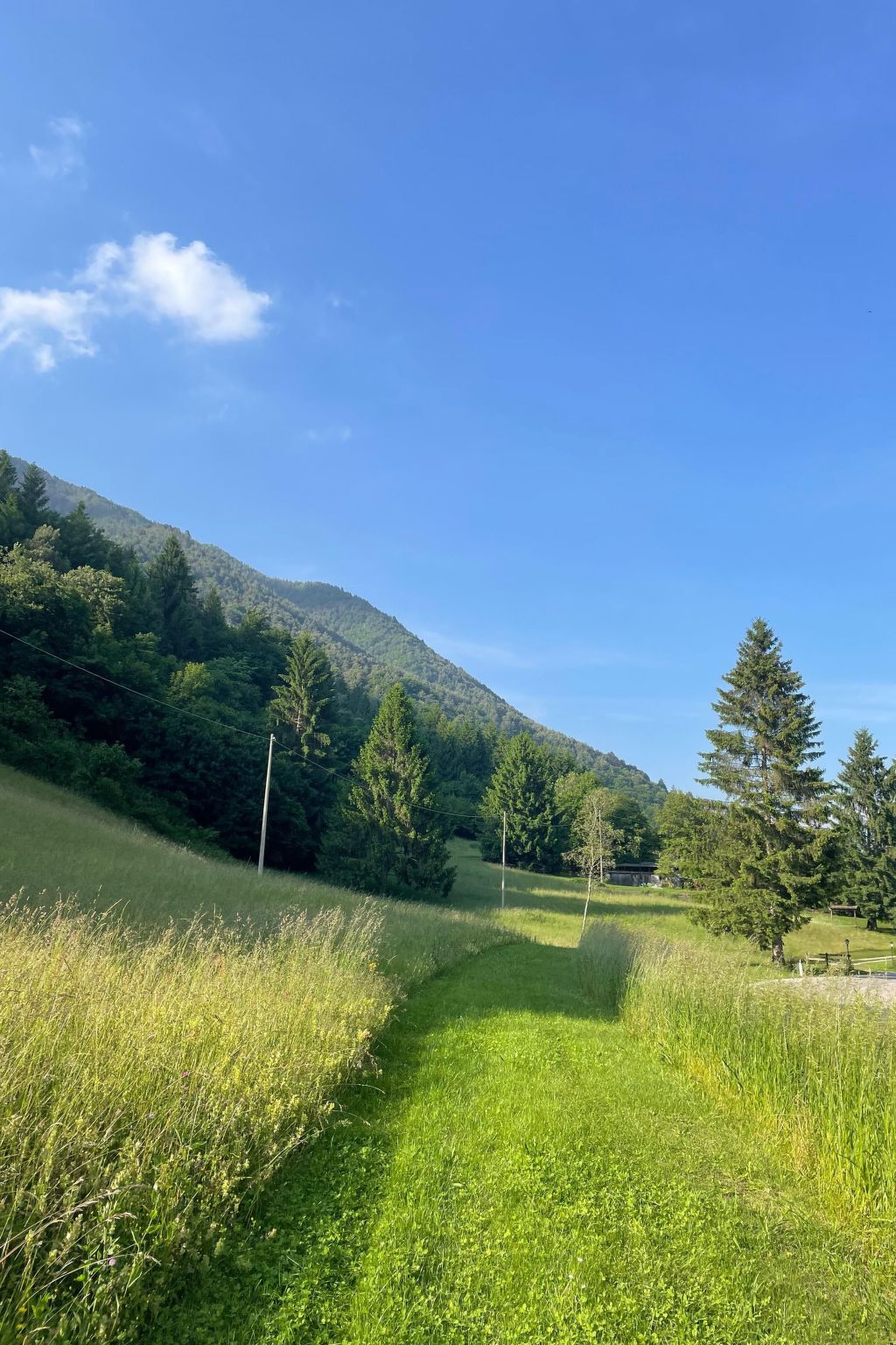 Appartement 4 chambres au bord du lac de Ledro - Photo 17