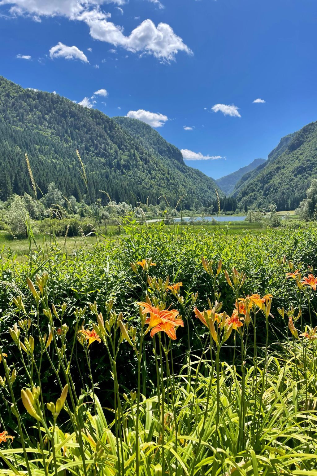Appartement 4 chambres au bord du lac de Ledro - Photo 25