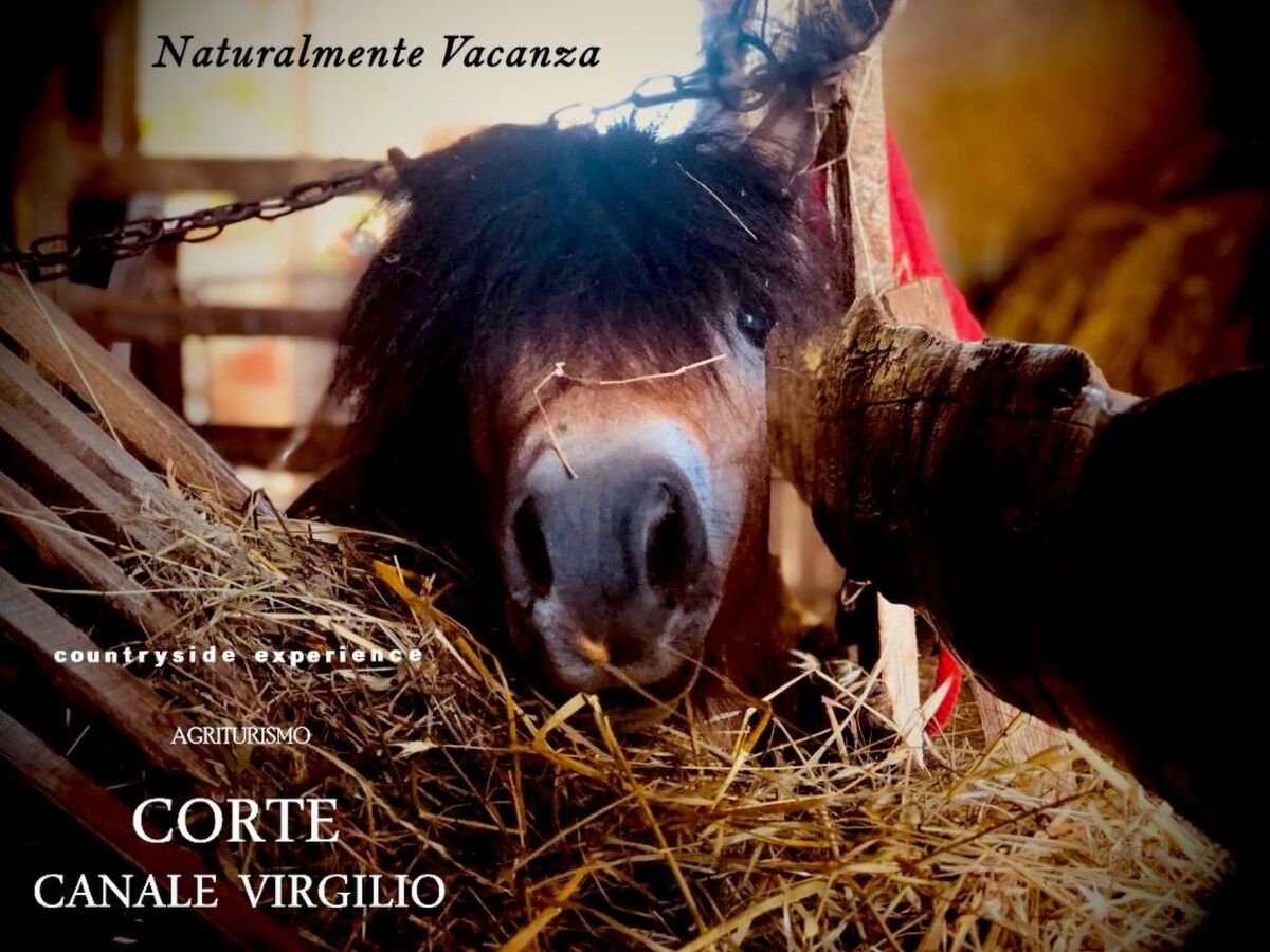 Appartement à la ferme Corte Canale Virgilio, Volta Mantovana - Photo 26