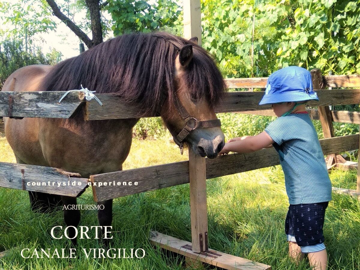Appartement à la ferme Corte Canale Virgilio, Volta Mantovana - Photo 28